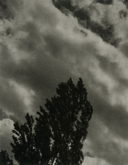 Alfred Stieglitz: Songs of the Sky C1, 1923